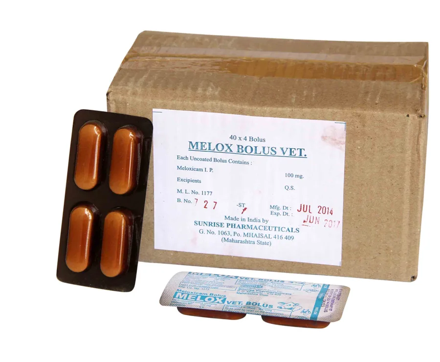 Melox Vet. Bolus — Meloxicam Bolus B. P. Vet. pack shot